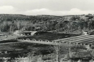 Bilde av Helle Fjærfe- og Pelsdyrgård